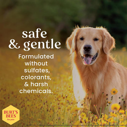 Deodorizing Dog Shampoo with Apple and Rosemary, 95% Natural Origin Formulas, Gentle Canine Cleanser for Smelly Pups, 2 Pk 16 Oz